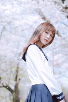 电影杨门女将